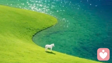 守住边界，才是对身边人最坚定的偏爱