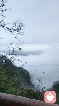 人来一世不易，没心没肺活着不累，万事想开，能解决的解决，解决不了的就听天由命配图