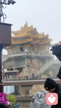 人来一世不易，没心没肺活着不累，万事想开，能解决的解决，解决不了的就听天由命配图