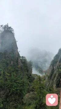 心里装了太多，记得开扇窗。和信任的人说说话，或者独自看部治愈的电影。压力不会因忽视消失，但会被你的关注软化。睡前原谅所有，包括自己。明天，又是新的一天。配图