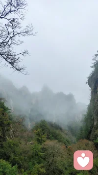 心里装了太多，记得开扇窗。和信任的人说说话，或者独自看部治愈的电影。压力不会因忽视消失，但会被你的关注软化。睡前原谅所有，包括自己。明天，又是新的一天。配图