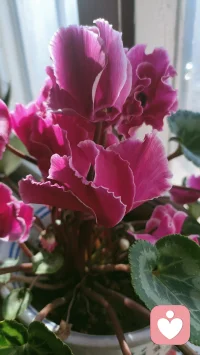 做一名倾听师，不求治愈，只求陪伴。
你可以慢慢说，我会静静听。
所有情绪都值得被看见，所有委屈都值得被温柔以待。