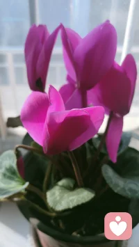 做一名倾听师，不求治愈，只求陪伴。
你可以慢慢说，我会静静听。
所有情绪都值得被看见，所有委屈都值得被温柔以待。