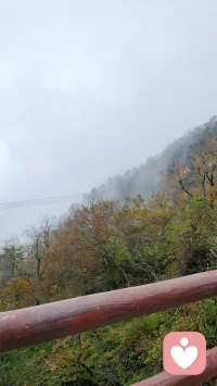 人的一生会遇到很多风雨，别气馁，往前走。若干年后再回头看时，你会发现，那些苦难，你都一个一个熬过来了