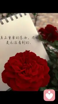 我们终其一生，
都在寻找一个可以放心说话的人。
不用解释，不用伪装，
被看见，就是最好的治愈。