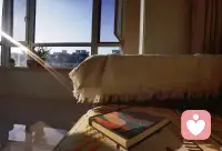 每个简单而直接的当下都带着淡淡的喜悦❤🌅配图