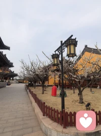 慢下来的日光里，与温柔和答案相遇。配图