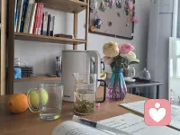 慢下来的日光里，与温柔和答案相遇。配图