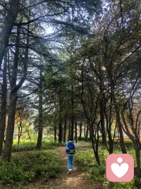 日出有盼，日落有安
愿相伴，愿岁月且长且慢❤配图