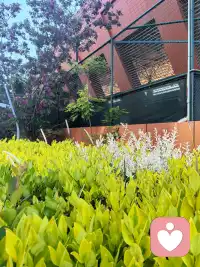 安隅倾听·今日小记

今天看到萨提亚的一句话，很触动：
“要把来访者当成英雄，而非受害者——经历了那么多痛苦，还愿意主动成长的人。”

深以为然。
每一次倾听，只是在见证，见证一个又一个英雄，如何在自己的生命里，慢慢站起来。

陪伴是相互的。
你信任我，我就在。
你往前走，我就守在你身后。

不需要完美，只需要真实。
你愿意来，我就愿意听。

🌱 安隅倾听，一直在这里。配图