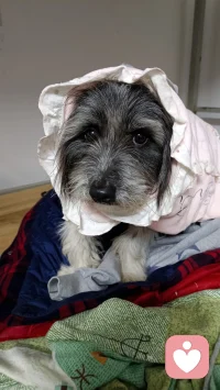 无论生活多么苦或者无助，记得找个信任的人说出来。也许光就来了。