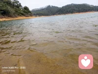 水很静，风很轻。
说说你最近藏在心里的话吧，我听着。配图
