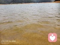 水很静，风很轻。
说说你最近藏在心里的话吧，我听着。配图