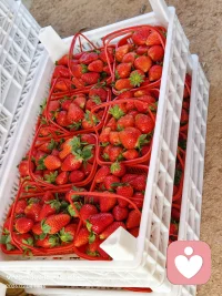 趁我现在还便宜，有没有想找倾诉的朋友！配图