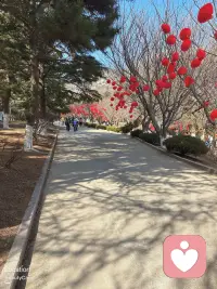 人生的路很长是你的终究是你，的不是你的那就慢慢放下。我不配图