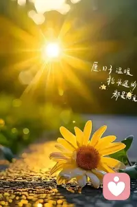 很多痛苦，不是因为事情本身，而是你对它的执念与解读。
把注意力放回自己身上，你会发现，外界的声音，没那么重要。配图