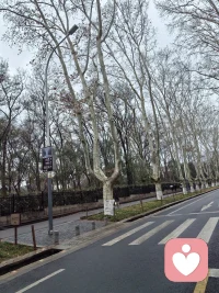 做情绪的管理者，不要被情绪所控制，勇往直前，加油💪配图