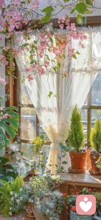 情绪不是负担，而是信号，看见他，接纳他，就是自我疗愈的第一步。配图