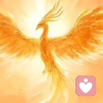 云卷云舒的头像