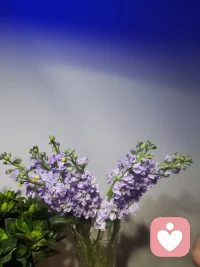 我们的人生就是一场认知的较量。
一个人的认知引导着他的行动，决定了他的人生轨迹配图