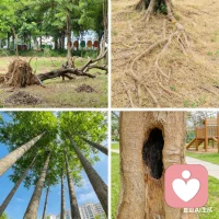 🌏敬畏自然，生命课堂
学会放空，方有生命力；
不扎根、不独立，纵老亦是孩童。配图