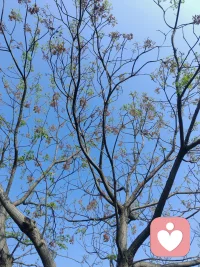 心若纠结，遍地皆是烦恼；心若豁达，满目皆是晴朗。配图