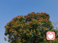 心若纠结，遍地皆是烦恼；心若豁达，满目皆是晴朗。配图