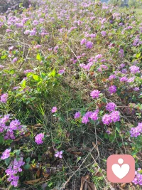 生命：循环--平衡--自然配图