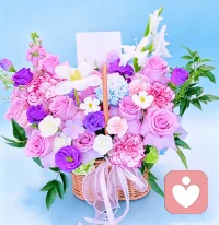 慢慢来，日子也会发光✨