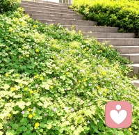 春日的风里，藏着很多温柔的答案。🌸
 
关于爱，我始终相信：
 
爱是骄傲的人会低头，倔强的人会服软。
爱是下意识的惦记，和藏不住的偏爱。
爱是看清所有不完美，依然选择接纳。
 
不必追问爱是什么，
心甘情愿，就是最好的答案。
 
愿我们都能在关系里，被温柔以待，也学会温柔待人。配图