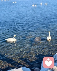 人生看淡，不服就干配图