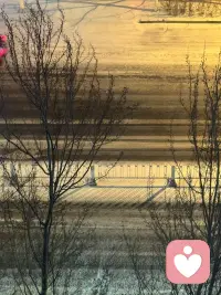 下雪的时候还挺美的配图