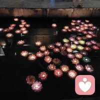 今天有给力心理的朋友问什么是心理咨询呢？这是个好问题！
不是“有病才去”，更像是心灵的体检和保养
- 不是聊天安慰，而是有方法、有目标地帮你看清问题。
 重点是：帮你自己长出力量，而不是替你做决定。
心理咨询主要帮你处理这些：
情绪问题：焦虑、抑郁、压力大、失眠、易怒、空虚；
关系困扰：亲密关系、家庭矛盾、亲子沟通、人际相处；
自我问题：自卑、迷茫、内耗、原生家庭影响、创伤；
行为问题：拖延、成瘾、强迫、冲动控制
它的核心特点：
 保密：你说的内容不会泄露
 中立：不评判、不指责、不讲大道理
 赋能：让你更了解自己，更会照顾自己
 一句话总结：
心理咨询，是专业地帮你和自己好好相处。