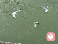 慢慢来，谁不是摸着石头过河，一切都会好起来的。配图