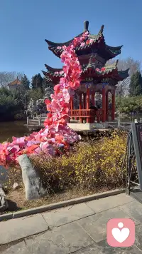 抑郁不是矫情，它需要被看见
 
你有没有过这样的时刻：
明明什么都没做，却累得喘不过气；
明明身边很热闹，却觉得自己像个局外人；
明明想笑，却连扯动嘴角的力气都没有。
 
很多人说“想开点就好了”，
但只有你自己知道，
那些沉重的情绪，像一张密不透风的网，
把你困在原地，动弹不得。
 
抑郁不是你的错，也不是矫情。
它只是你的心，在发出求救的信号。
 
如果你正被这样的情绪包裹，
别一个人硬扛。
我在这里，做你安全的倾听者，
陪你慢慢拨开迷雾，看见光。配图