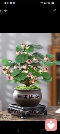 、抑郁的常见信号，你中了几条？
 
- 持续的情绪低落，对任何事都提不起兴趣

- 睡眠障碍，要么失眠，要么嗜睡

- 食欲改变，体重明显下降或上升

- 注意力不集中，记忆力减退

- 反复出现“活着没意义”的念头
 
如果你出现以上症状，且持续两周以上，
请一定重视，这不是“矫情”，而是身体在提醒你：该停下来照顾自己了。配图