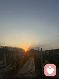 可以听👂你的心声配图