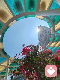 今天的快乐，是抬头看见的花给的配图