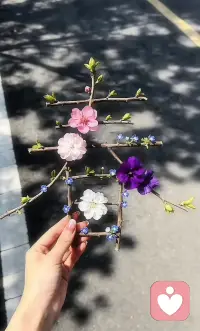 ✨🌻🌿 🧡
三月终，四月启
四月的第一天属于谎言
剩下的皆是好运配图