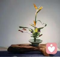 今天是惊蛰分享给大家
是从沉眠到苏醒、从内敛到生发的过程
醒
冬眠结束，心不再沉郁、麻木、拖延，
意识慢慢清明，愿意睁开眼面对生活。
动
雷声一响，心里的懒劲散了，
有了想做事、想出发、想改变的冲动。
生
情绪不再压抑，
希望、期待、热情开始破土而出。
轻
告别冬天的沉重、焦虑、内耗，
心境变得轻快、舒展、有呼吸感。
敢
藏了一冬的想法，终于敢说、敢试、敢行动，
有了破土而出的勇气。配图