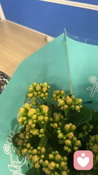 今天有位年轻父亲咨询了关于和女儿的话题！让我联想到从心理学视角看父女关系，是一段非常深刻、影响女孩一生的心理原型。我给你用最清晰、好懂的方式总结一下：

父女关系的心理学核心

1. 父亲是女儿生命中第一个男性形象

• 她对男性、安全感、亲密关系的认知，几乎都来自父亲

• 父亲如何对待她，她就会默认：男人就该这样对我

• 被父亲尊重、疼爱的女孩，长大后不缺爱、不讨好、不卑微

2. 父亲决定女儿的自我价值感

• 父亲的肯定 = 女孩心底的“我值得被爱”

• 父亲的忽视、严厉、缺席 → 容易自卑、敏感、缺安全感

• 父亲越稳定、温和、可靠，女儿越自信、独立

3. 父亲是女儿的勇气来源

心理学里有个结论：

• 母亲给的是情绪安全感

• 父亲给的是探索世界的底气
有稳定父爱支持的女孩：

• 更敢冒险

• 更敢拒绝

• 更敢追求自己想要的人生

4. 父女之间典型的心理模式

女儿心里常见心理

• 小时候：崇拜、依赖、把父亲当超人

• 青春期：叛逆、想逃离、觉得他不懂自己

• 成年后：理解、心疼、突然看懂他的脆弱与压力

父亲心里常见心理

• 不擅长表达爱，只会用“责任、赚钱、保护”来爱

• 怕女儿受伤、怕她吃亏、怕她遇人不淑

• 嘴上严厉，心里比谁都软

• 越老越沉默，越怕成为女儿的负担

5. 父女关系最扎心的心理真相

• 女儿一生都在等待父亲的肯定

• 父亲一生都在默默守护，却不会说

• 很多父女明明深爱，却隔着沉默

• 和解，往往从“女儿开始懂父亲”那一刻发生配图