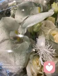 昨天有个男性朋友咨询说问自己的语言功能有没有丧失进行……还要求大学学历！他真正想说的，其实是这3件事
1. 他感觉自己“不会表达情绪”了
不是不会说话，是说不出心里的难受、压力、委屈。
很多男生从小被教“别矫情、别脆弱”，久而久之，情绪和语言断开了。
→ 他不是冷漠，是失语。
2. 他在关系里感到孤独
可能和朋友、家人、伴侣聊天时，
明明坐在一起，却觉得没人真的听懂他。
他怕说多了被嫌烦，说少了被误会，
慢慢就不敢说、不想说、不会说。
3. 他在自我怀疑：我是不是出问题了？
“心理咨询”这四个字从男生嘴里说出来，
代表他认真痛苦过、自我挣扎过，
不是随便吐槽，是真的在求救、在求助。配图