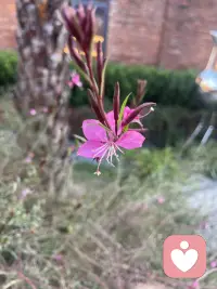 年轻人的心理优势

• 可塑性强：学习、适应、改变能力强

• 情绪敏锐：共情力、创造力、感知力强

• 自我意识觉醒：更关注内心、追求真实、拒绝被定义

• 敢于表达：对不公、压抑、传统束缚更敢于反抗配图