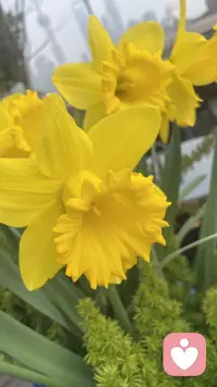 你的肉身痛苦，
不是你脆弱，
不是你有病，
是你的心，太疼了，只能从身体里漏出来。

如果你愿意，我可以帮你判断：
你现在的身体不舒服，更偏向哪一类情绪在表达？配图