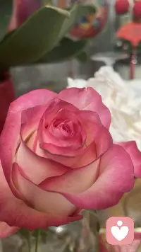 生活如酒，或芳香，或浓烈因为诚实它变得醇厚
生活如歌，或高昂，或低沉因为守信它变得悦耳
生活如画，或明丽，或素雅因为诚信它变得美丽配图