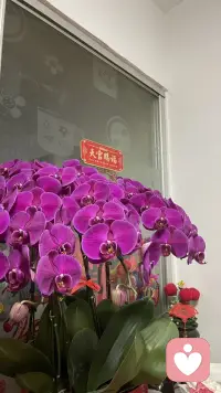 之前有咨询我的朋友问入门级学习推荐
一、入门必读（零基础友好）

1. 《心理学与生活》
心理学最经典的通识教材，系统、全面、好懂，相当于「心理学百科」。

2. 《社会心理学》（戴维·迈尔斯）
讲人在群体里怎么想、怎么做，解释偏见、从众、亲密关系，非常实用。

3. 《被讨厌的勇气》
用对话讲阿德勒心理学，专治内耗、自卑、讨好型人格，读起来很轻松。

4. 《蛤蟆先生去看心理医生》
童话式心理咨询故事，带你看懂抑郁、自我否定、情绪模式，治愈又好读。

二、认知与思维（提升判断力）

5. 《思考，快与慢》（丹尼尔·卡尼曼）
诺贝尔经济学奖，讲大脑两套思维系统，帮你看清偏见、决策误区。

6. 《认知觉醒》
国产超实用心理学+脑科学通俗书，讲自律、专注力、情绪控制。

三、人格与自我成长

7. 《原生家庭》
分析家庭对人的影响，教你如何摆脱创伤、重建自我。

8. 《自我关怀的力量》
教你停止自我批判，学会像对待朋友一样对待自己。

四、偏专业/深度（想系统学推荐）

9. 《发展心理学》
从出生到衰老，人一生的心理变化，适合想系统了解成长规律。

10. 《精神分析引论》（弗洛伊德）
经典必读，了解潜意识、梦、防御机制的源头。配图