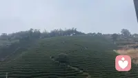 休息日快乐

放松不求“丰富多彩”，只求松弛自在。配图