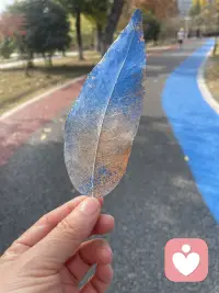 大美苏州欢迎你