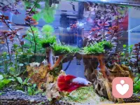 工作情绪，生活情绪，我将是你最好的听众配图