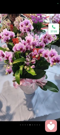 婚姻不是全部，当下的放手，在未来都是锦上添花